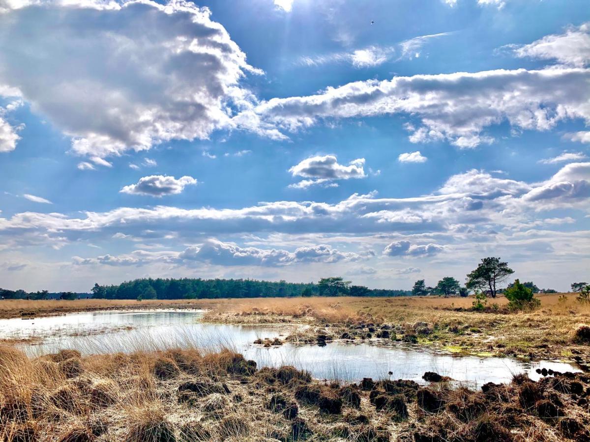 Veluwse Wolf: Natuurlijk Genieten! Otterlo Exteriör bild